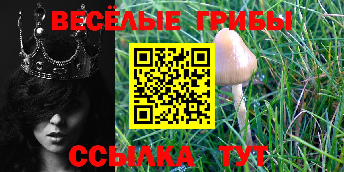 Новокузнецк  дарнет шоп  Вход с VPN  Псилоцибиновые грибы прущие грибы 