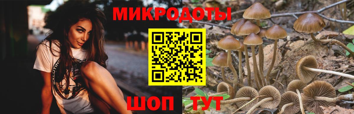 Псилоцибиновые грибы Magic Shrooms Новокузнецк